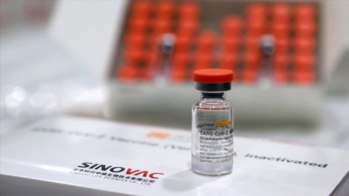 Türkiye’den KKTC’ye 50 bin doz Sinovac aşısı