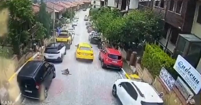 Eyüpsultan'da taksi şoförü köpeği ezerek öldürdü