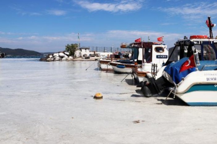 Çanakkale Boğazı temizleniyor: 3 günde 37 metreküp müsilaj toplandı