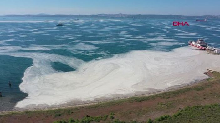d Yalova sahilleri yeniden deniz salyasıyla kaplandı