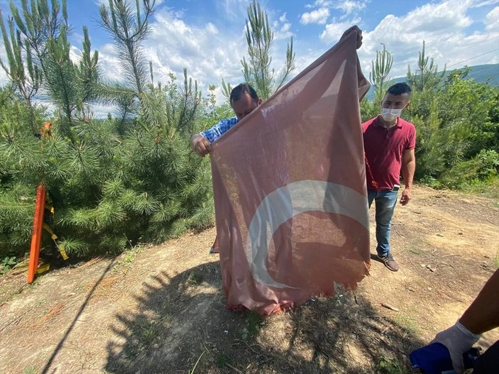 Düzce'de Türk bayrağını değiştirmek için ağaca çıktı, mahsur kaldı