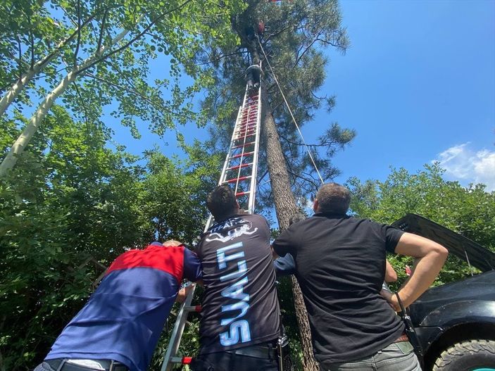 a Düzce'de Türk bayrağını değiştirmek için ağaca çıktı, mahsur kaldı