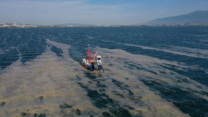 Marmara'yı müsilajdan temizleme için Cumhurbaşkanlığı Genelgesi