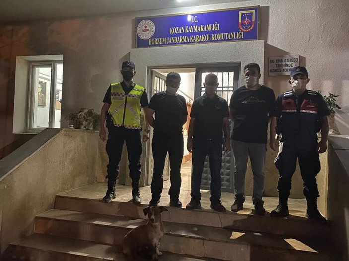 Adana oklu kirpi avına 12 bin lira ceza
