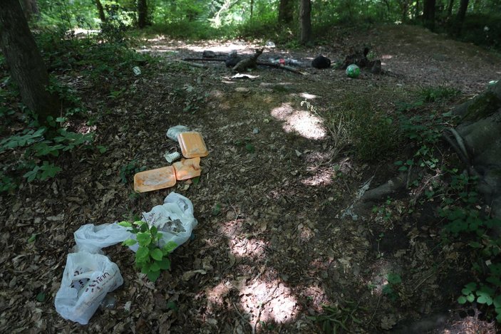 İstanbul'da piknikçiler yine ormanı çöplüğü çevirdi