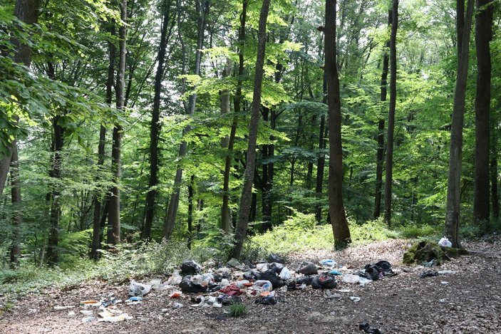 İstanbul'da piknikçiler yine ormanı çöplüğü çevirdi