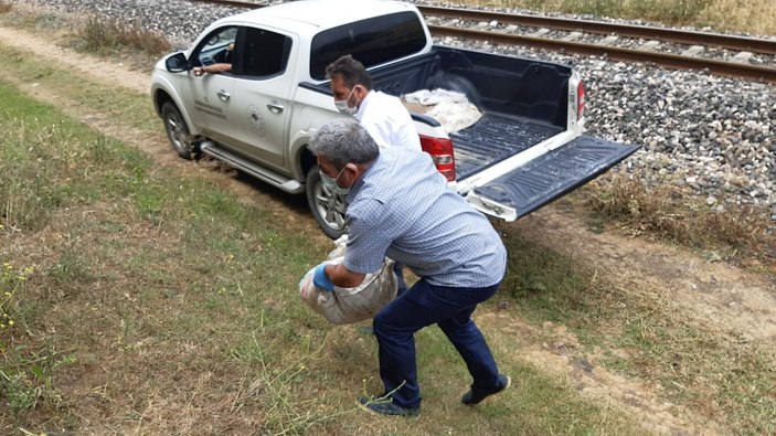 Afyonkarahisar’da salyangoz dolu çuvallar ele geçirildi