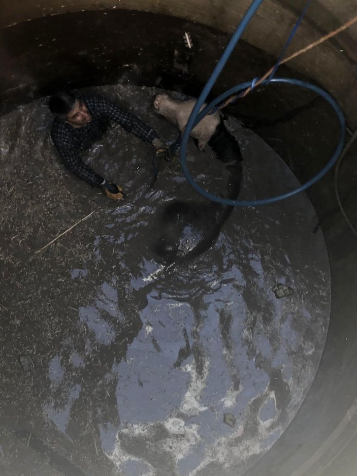 Diyarbakır’da su kuyusuna düşen boğa, iş makinesi ile kurtarıldı