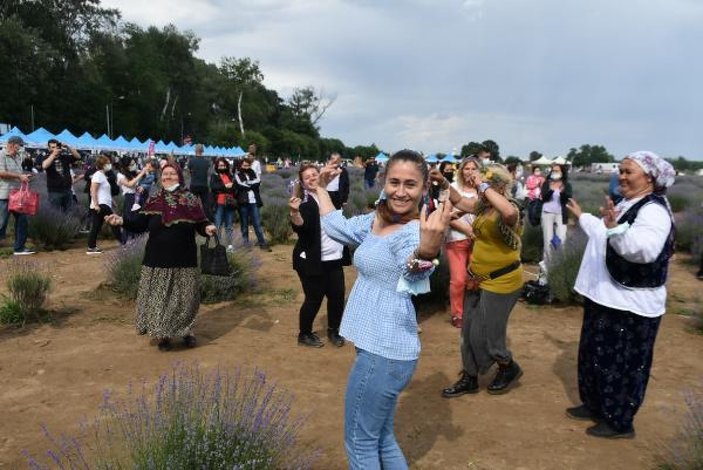 Edirne'de mor tarlalar festival alanına döndü