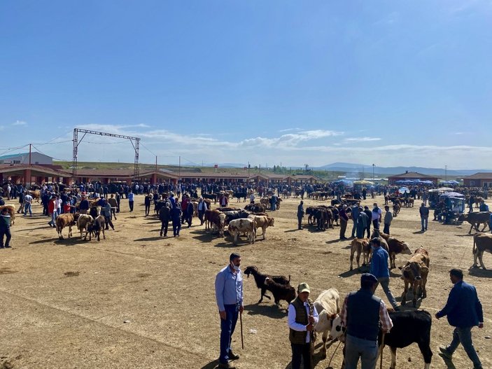 Ağrı'da kurbanlık telaşı başladı