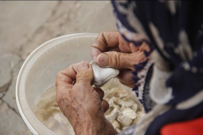 Fiyatı altınla yarışıyor: Kenger sakızının faydaları nelerdir