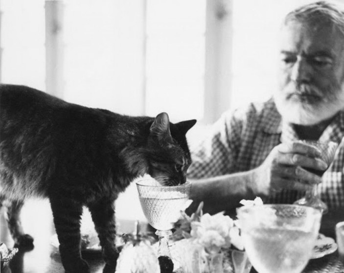 Ernest Hemingway'in kaleminden kedisi Uncle Willie’nin son saatleri