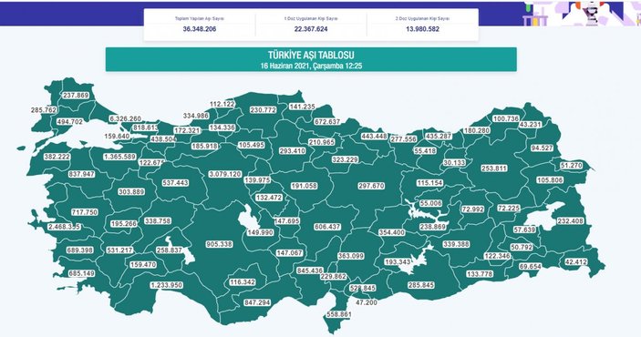 Aşılamada rekor sayı: Türkiye'de kaç kişi aşı oldu?