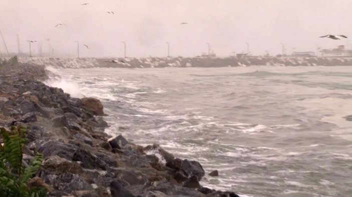 Marmara'da etkili olan lodos, müsilajı kıyıya taşıdı