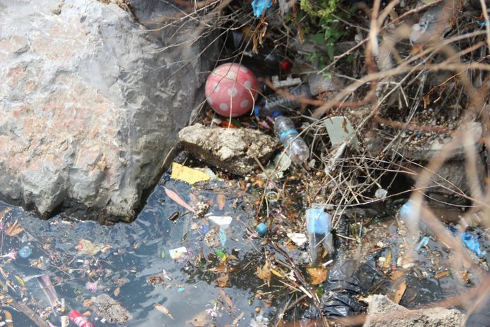 İzmir Körfezi'ndeki koku ve kirlilik halkı isyan ettirdi