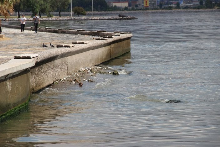 İzmir Körfezi'ndeki koku ve kirlilik halkı isyan ettirdi