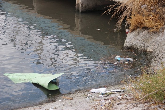 İzmir Körfezi'ndeki koku ve kirlilik halkı isyan ettirdi