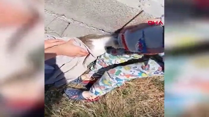 Bartın’da başı plastik kutuya sıkışan kediyi, vatandaşlar kurtardı