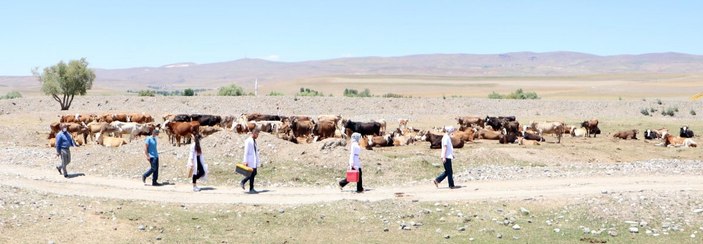 Erzurum'da aşı timleri, çobanlara aşı yapmak için dağları aştı