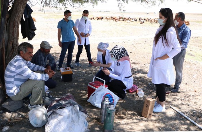 Erzurum'da aşı timleri, çobanlara aşı yapmak için dağları aştı
