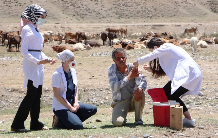 Erzurum'da aşı timleri, çobanlara aşı yapmak için dağları aştı