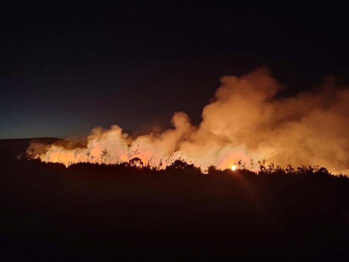 Gaziantep'te orman yangını