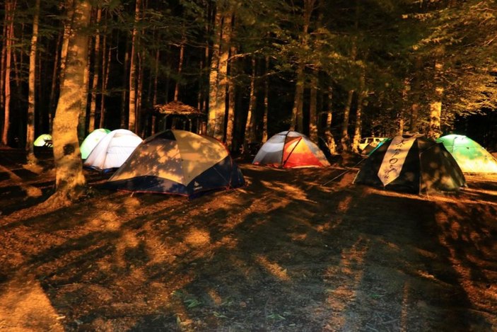 Ordu Perşembe Yaylası görenleri büyülüyor