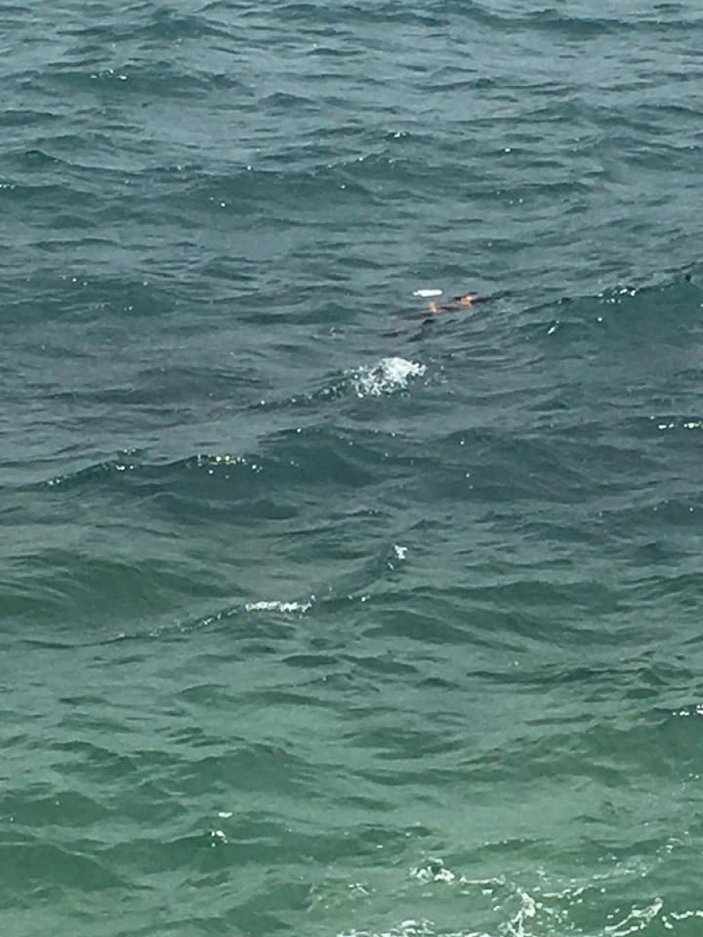 Bartın’da selfie çekerken denize düştü