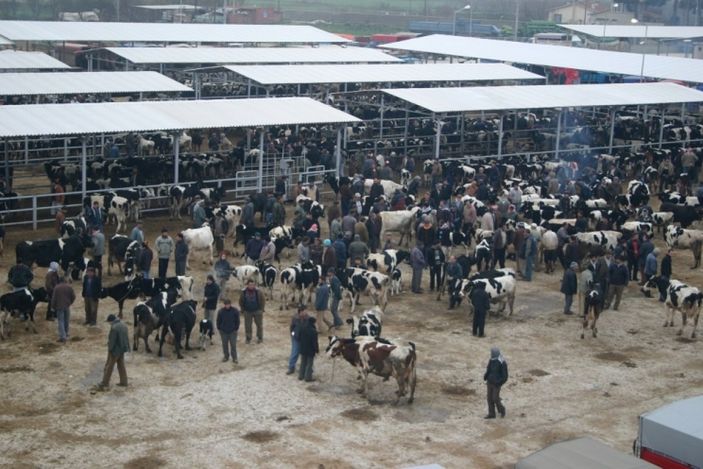 Kurban satışları ne zaman başlayacak? Kurban kesimi tebliği 2021