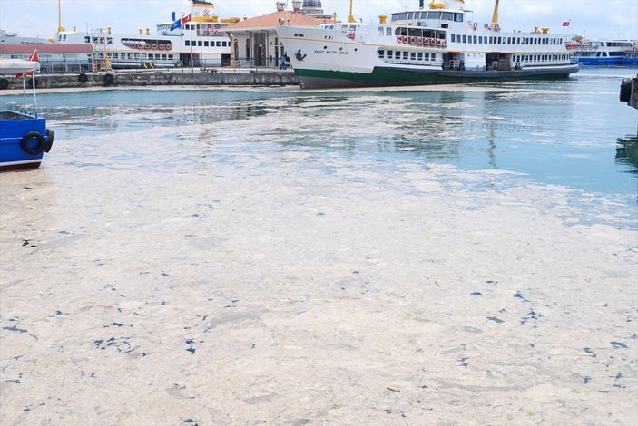 ODTÜ: Müsilaj, denizin ilk 30 metrelik tabakasında yığıldı