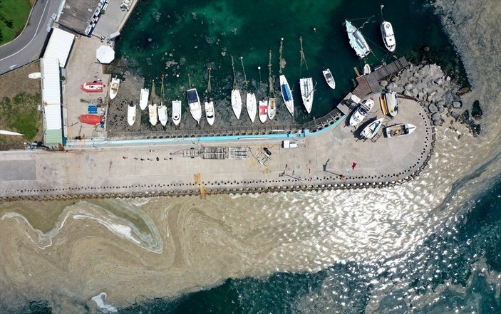ODTÜ: Müsilaj, denizin ilk 30 metrelik tabakasında yığıldı