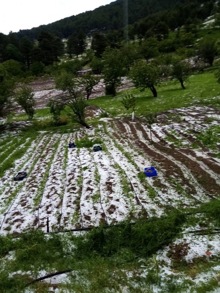 Bursa'da tarım ürünleri doludan zarar gördü