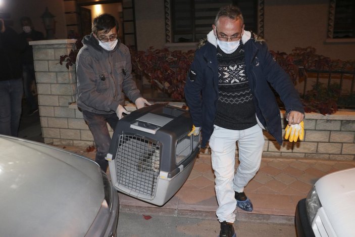 Ankara’da uygunsuz koşullarda köpek besleyen kadına tazminat davası