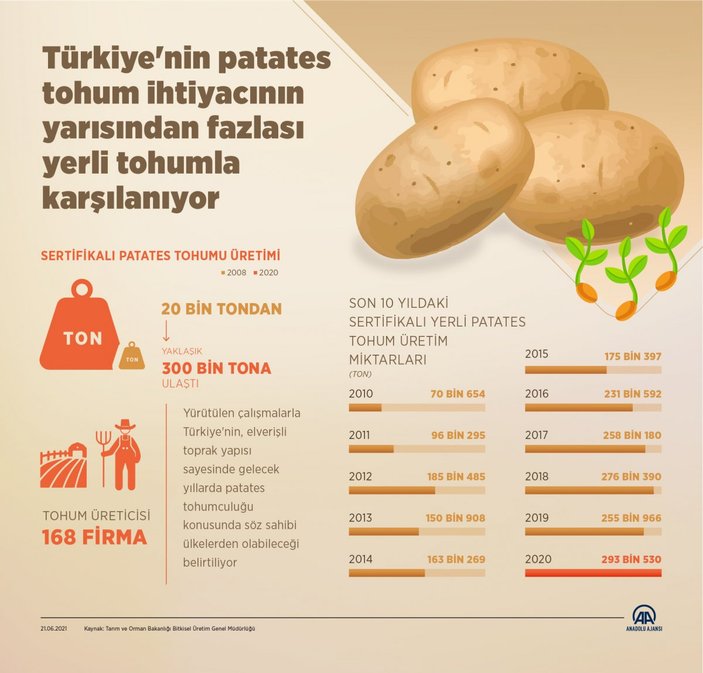Yerli tohum patates üretiminin yarısından fazlasını sağlıyor