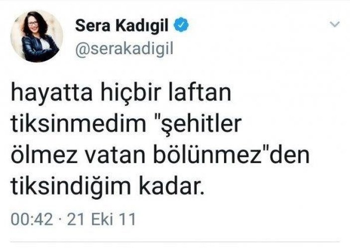 CHP'li Saliha Sera Kadıgil Sütlü, partisinden istifa etti