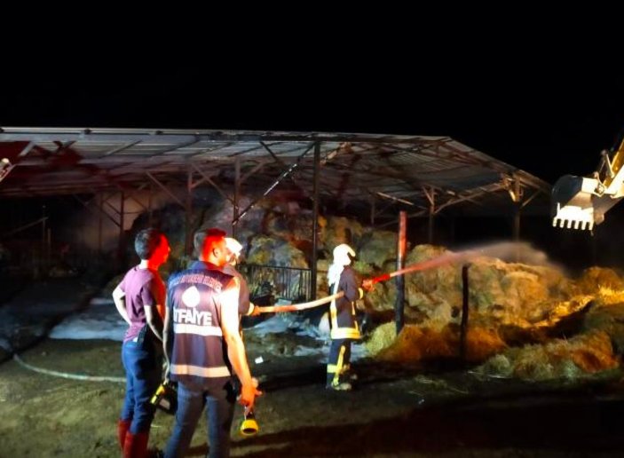 Denizli'de besihanede yangın çıktı: 22 büyükbaş hayvan telef oldu
