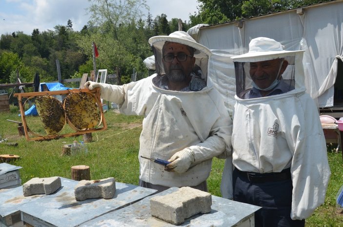 Kastamonu'da arı kovanlarını radyo sayesinde koruyor