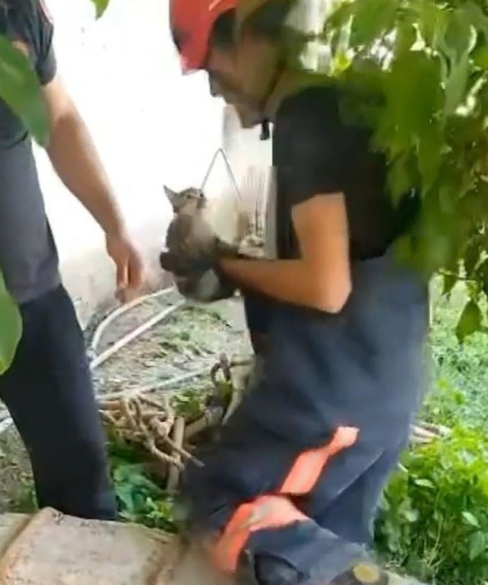 Elazığ'da kuyuya düşen yavru kedi kurtarıldı