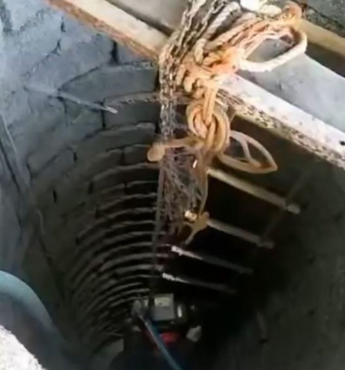 Elazığ'da kuyuya düşen yavru kedi kurtarıldı