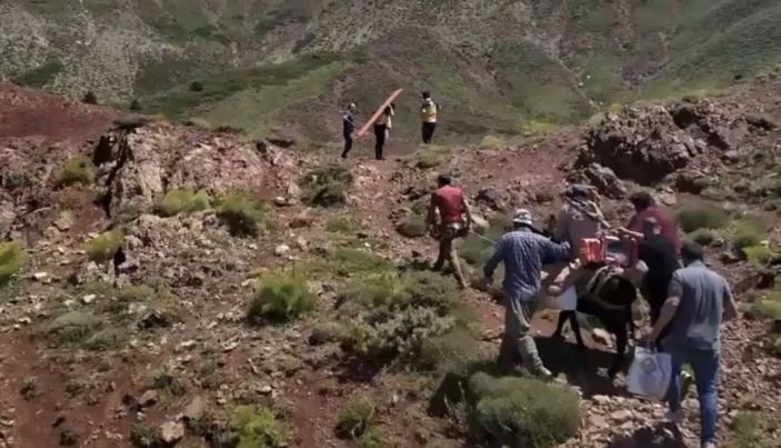 d Bingöl’de hastalanan adam, ambulans helikopterine eşek sırtında taşındı
