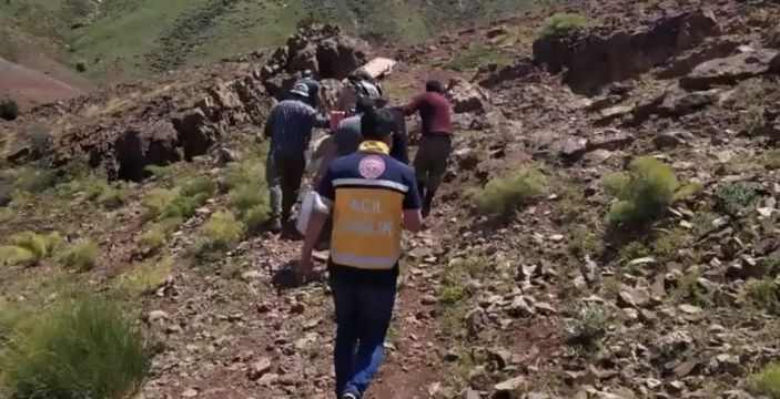 d Bingöl’de hastalanan adam, ambulans helikopterine eşek sırtında taşındı