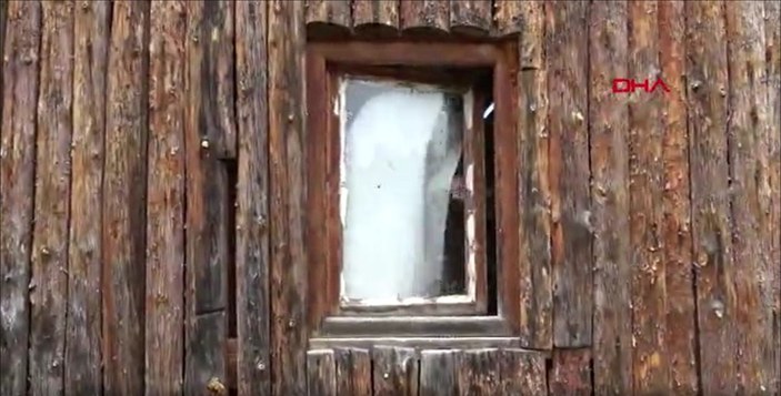 Trabzon’da alabalık tesisinin kapısını kıramayan ayı, pencereden girdi
