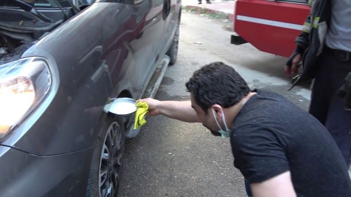 İ Samsun'da inatçı yılan otomobilden çıkmadı