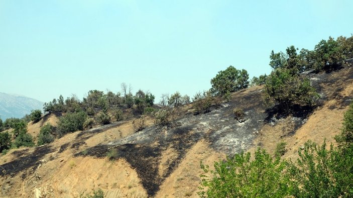 Bingöl'de 3 gündür süren orman yangınına müdahale devam ediyor
