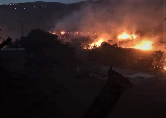 İzmir'de 40 dekarlık alan yandı