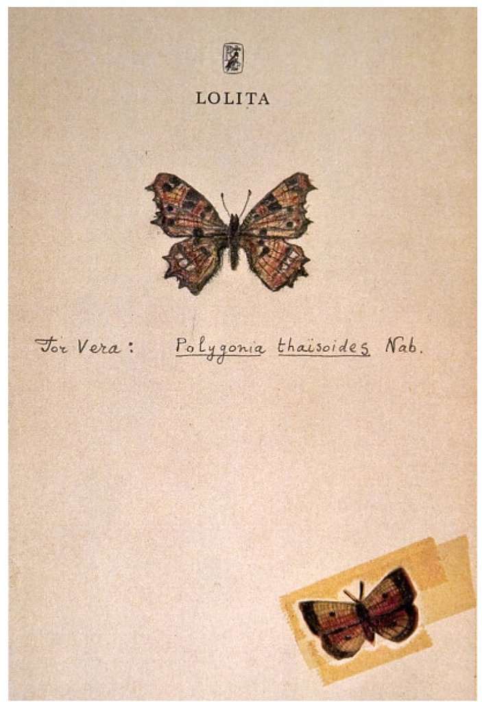 Büyük Rus yazar Vladimir Nabokov'un kelebek çizimleri