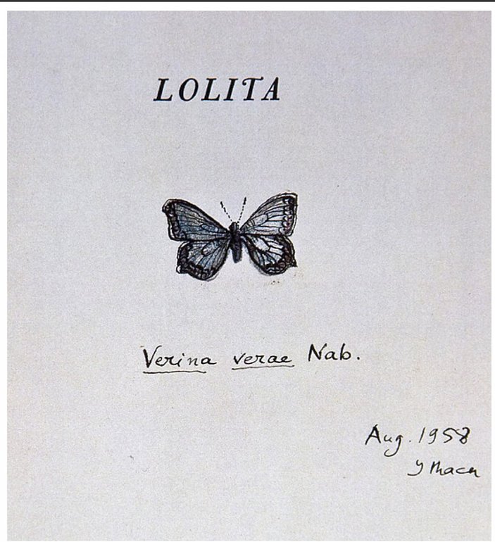 Büyük Rus yazar Vladimir Nabokov'un kelebek çizimleri
