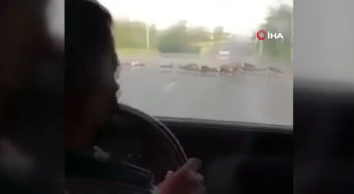 Meksika’da karteller arasında çatışma: Cesetler yolun ortasında bırakıldı