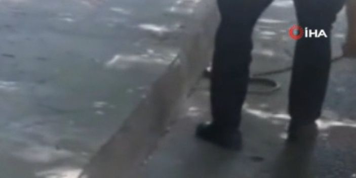 Ayazağa'da İETT otobüsünde yılan paniği