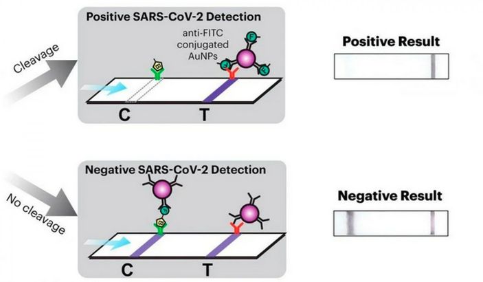 ABD'de koronavirüsü tespit edebilen maske geliştirildi